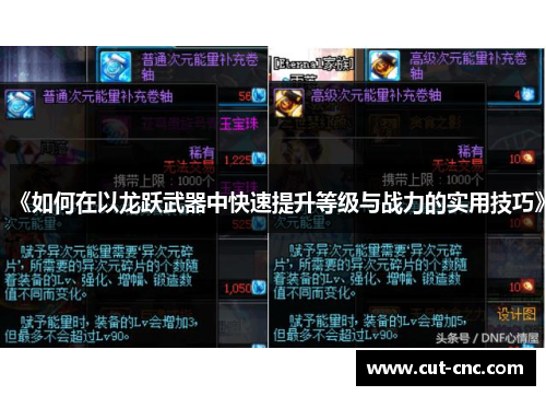 《如何在以龙跃武器中快速提升等级与战力的实用技巧》