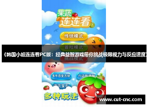 《韩国小姐连连看PC版：经典益智游戏带你挑战极限视力与反应速度》