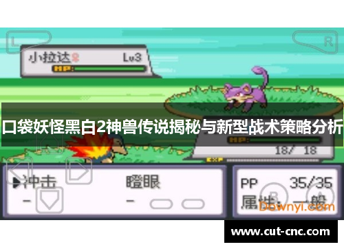 口袋妖怪黑白2神兽传说揭秘与新型战术策略分析