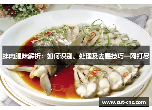 蚌肉腥味解析：如何识别、处理及去腥技巧一网打尽