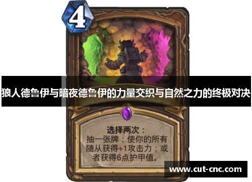 狼人德鲁伊与暗夜德鲁伊的力量交织与自然之力的终极对决