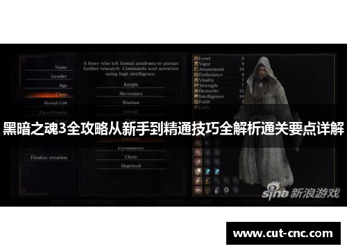 黑暗之魂3全攻略从新手到精通技巧全解析通关要点详解