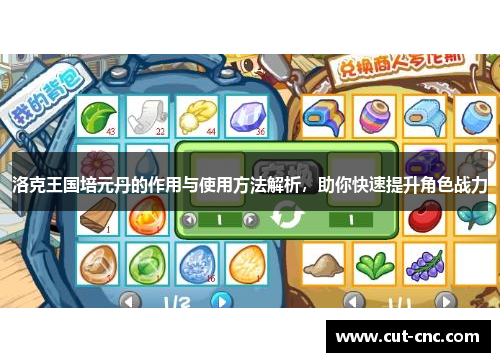 洛克王国培元丹的作用与使用方法解析，助你快速提升角色战力